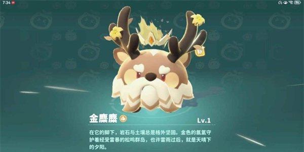 米姆米姆哈金麋麋怎么捕捉