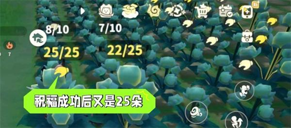 米姆米姆哈苍翠小花产量怎么提升
