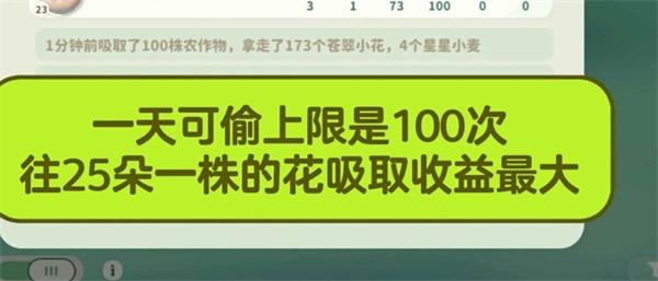 米姆米姆哈苍翠小花产量怎么提升