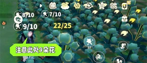 米姆米姆哈苍翠小花产量怎么提升