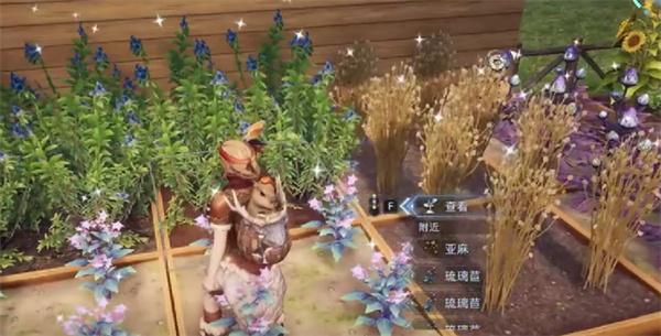荒原曙光雪莲怎么获取