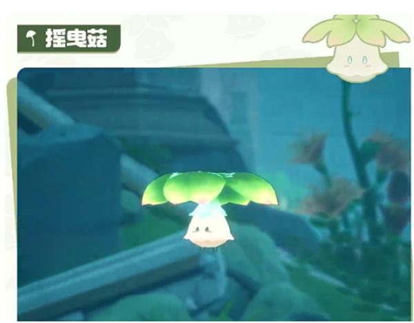 二重螺旋打火鸡怎么样