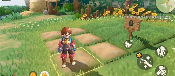 洛克王国世界家园种植怎么玩 洛克王国世界家园种植怎么玩