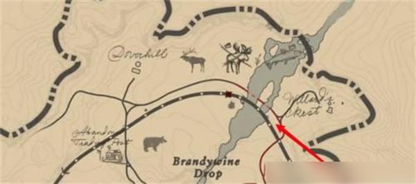 荒野大镖客2完美黑熊在哪