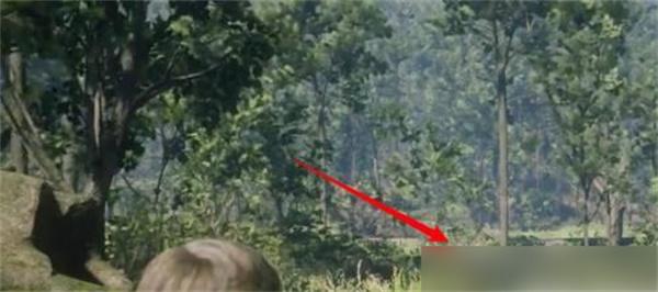 荒野大镖客2完美黑熊在哪