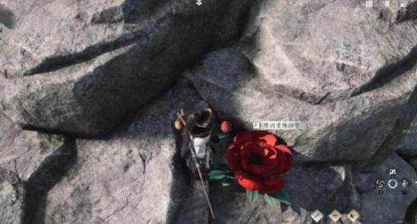 燕云十六声花魁任务怎么完成