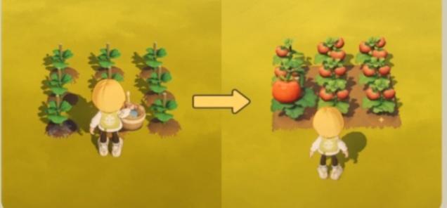 星布谷地烹饪怎么玩 星布谷地烹饪怎么玩