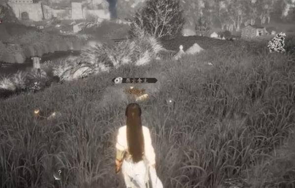 燕云十六声鹖尾怎么刷