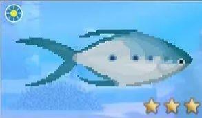 潜水员戴夫鲳鲹在哪抓