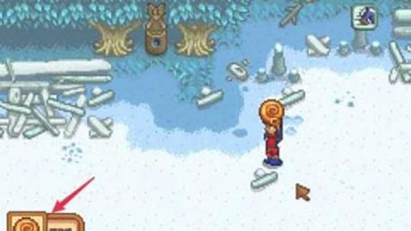 星露谷物语鹦鹉螺怎么获得