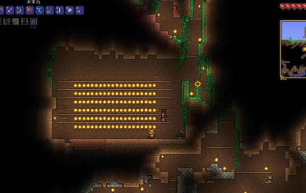 泰拉瑞亚稀有成就怎么获取