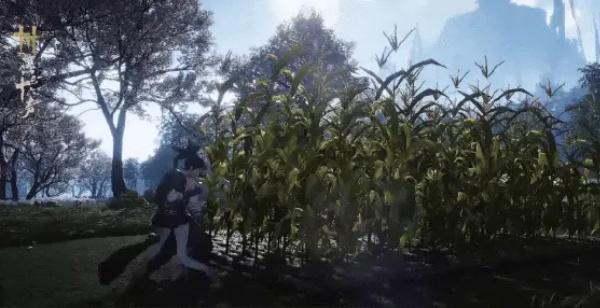 燕云十六声田地怎么快速浇水4.jpg 燕云十六声田地怎么快速浇水4.jpg