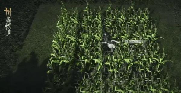 燕云十六声田地怎么快速浇水3.jpg 燕云十六声田地怎么快速浇水3.jpg