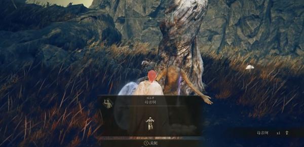 艾尔登法环金黄色编发怎么获得 艾尔登法环金黄色编发怎么获得