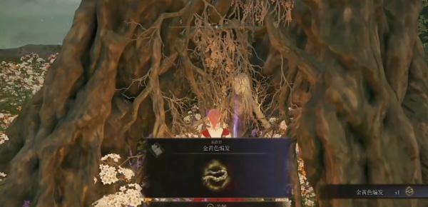 艾尔登法环金黄色编发怎么获得 艾尔登法环金黄色编发怎么获得
