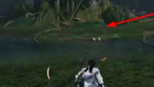 燕云十六声怎么速刷蕈菇