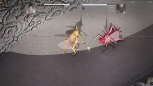 燕云十六声开封皇宫斗虫怎么玩