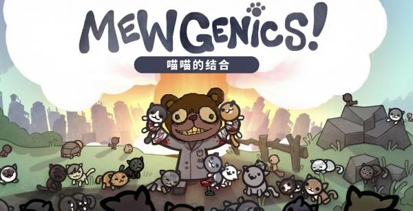 喵喵的结合辅助流法师怎么玩 喵喵的结合辅助流法师怎么玩