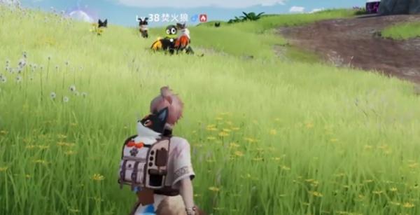 伊莫狼牙岭宠物怎么捕捉