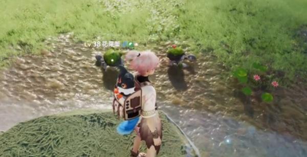 伊莫狼牙岭宠物怎么捕捉