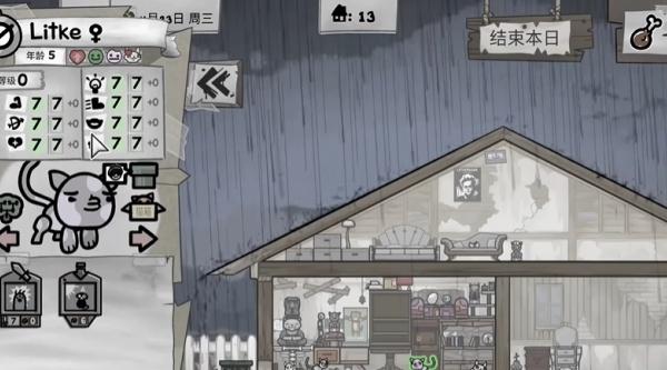 喵喵的结合捐赠猫咪怎么玩