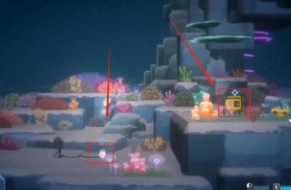 潜水员戴夫怎么拍鬼蝠鲼照片