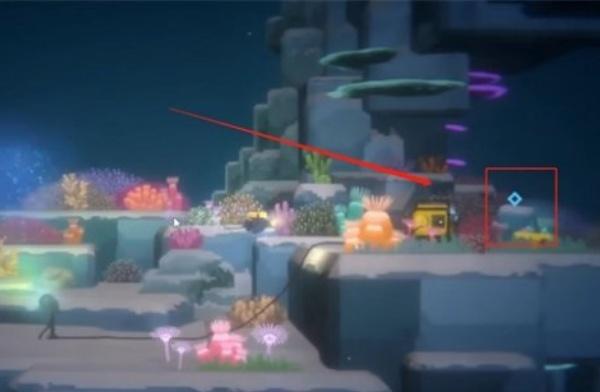 潜水员戴夫怎么拍鬼蝠鲼照片