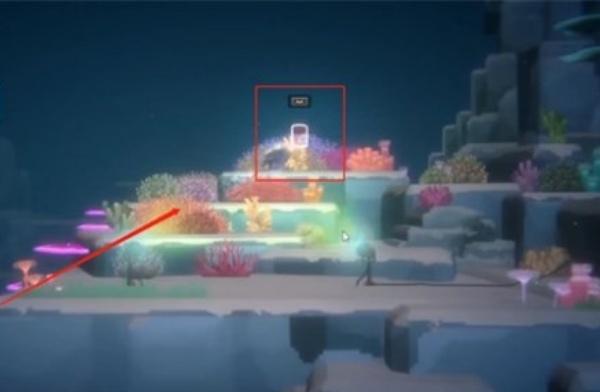 潜水员戴夫怎么拍鬼蝠鲼照片