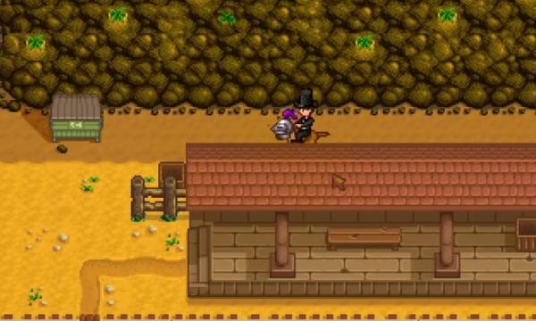 星露谷物语隐藏山洞怎么开启