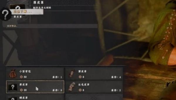 红色沙漠厚皮革怎么获得