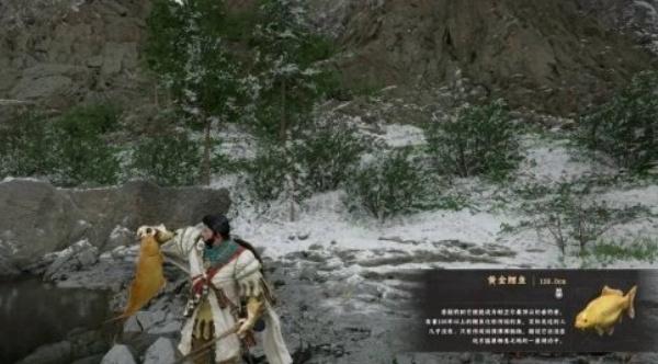 红色沙漠黄金鲤鱼在哪钓