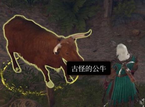 博德之门3古怪的公牛要不要杀