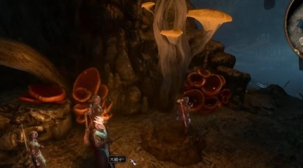 博德之门3鱼人村宝箱在哪