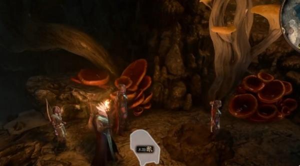 博德之门3鱼人村宝箱在哪