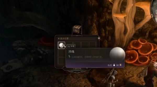 博德之门3鱼人村宝箱在哪