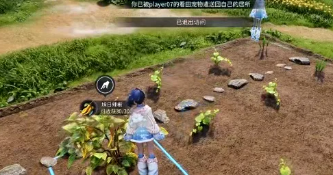 王者荣耀世界家园怎么升级