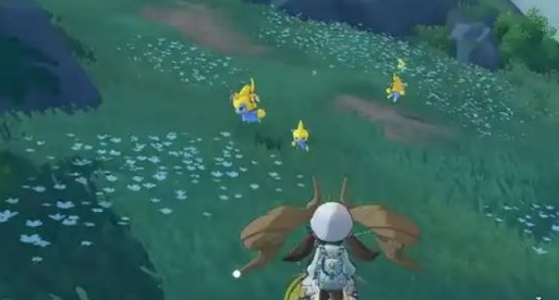 洛克王国世界酷拉怎么进化