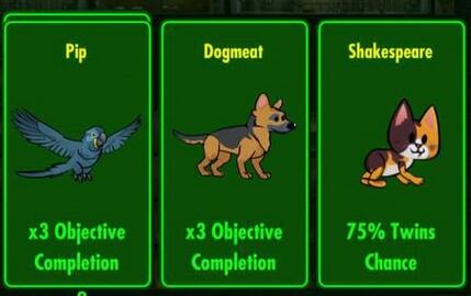 辐射避难所如何获得金宠 辐射避难所破解金宠获取方法 辐射避难所如何获得金宠 辐射避难所破解金宠获取方法