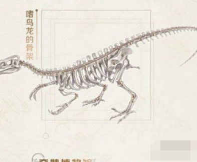 奇迹暖暖奇妙博物馆远古化石馆玩法指南_http://www.abetid.com_游戏攻略_第4张