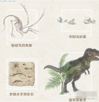 奇迹暖暖奇妙博物馆远古化石馆玩法指南_http://www.abetid.com_游戏攻略_第5张