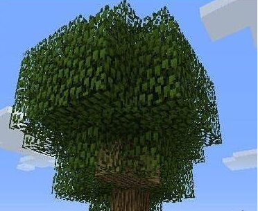 《我的世界》巨型橡树怎么种植 大橡树种植方法