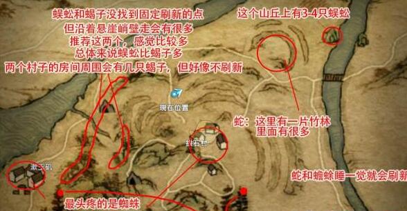 河洛群侠传五毒在哪找_五毒分布位置一览