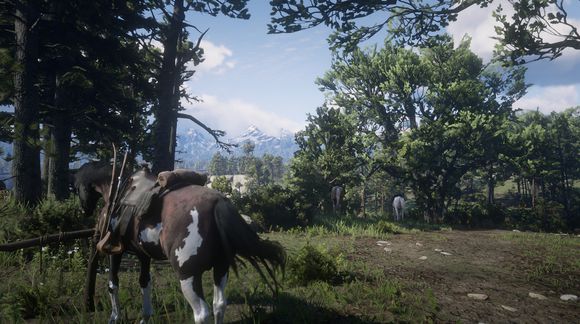 荒野大镖客2怎么拍照_拍照按哪个键