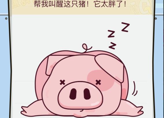 微信IQ挑战大会第4关怎么过_第4关怎么叫醒这只猪