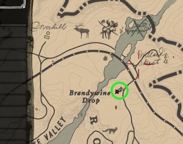 荒野大镖客2美洲狮在哪_荒野大镖客2美洲狮刷新位置一览