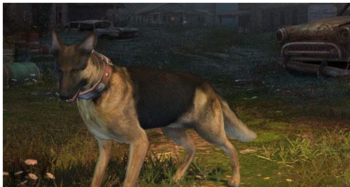 明日之后选哪个宠物狗好_明日之后宠物狗选择推荐