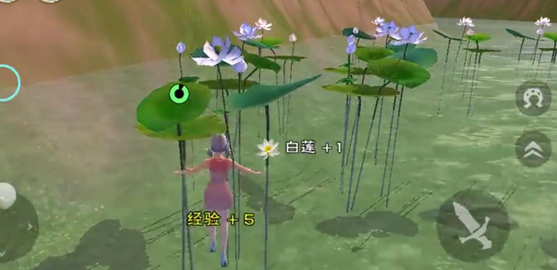 创造与魔法白莲有什么用_白莲烹饪食谱大全