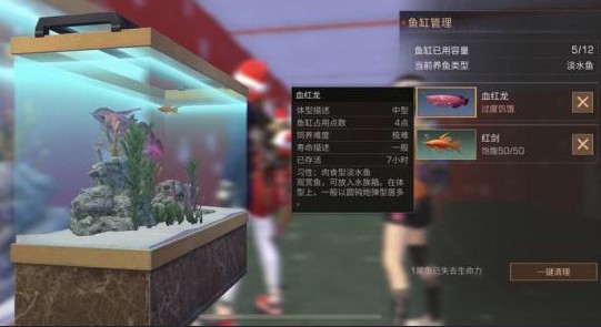 明日之后血红龙用什么鱼饵好_血红龙用什么鱼饵钓