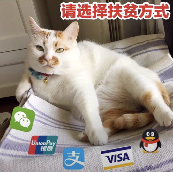 抖音请选择扶贫方式原图_抖音请选择扶贫方式图片下载