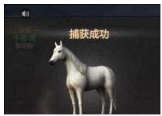 明日之后利皮扎马在哪抓_明日之后利皮扎马刷新位置一览